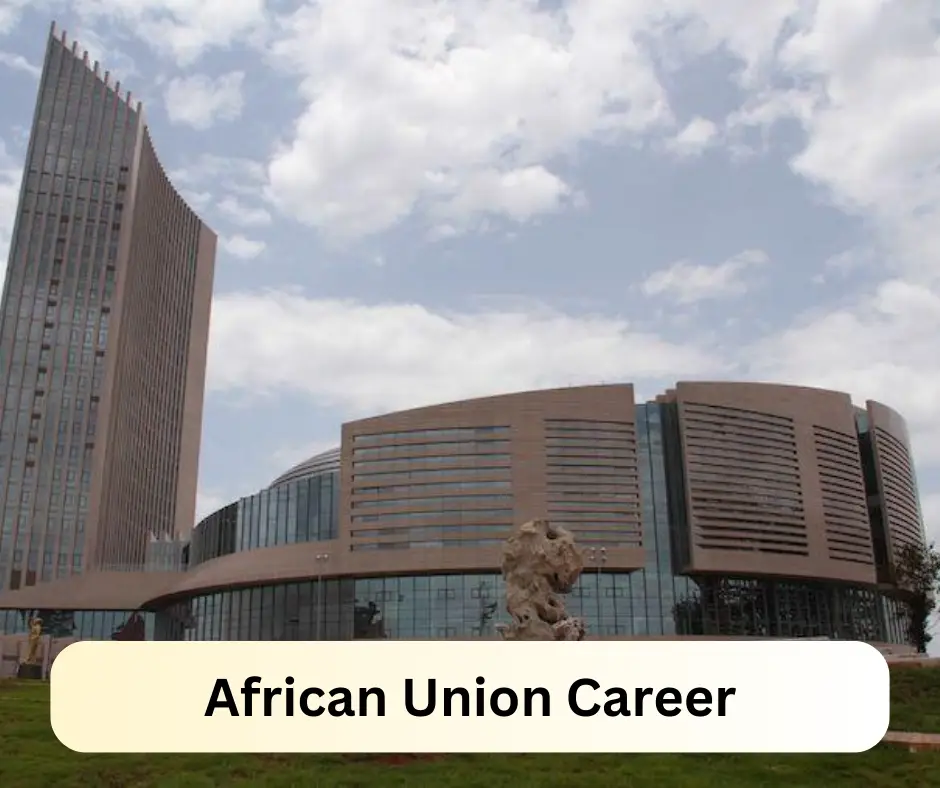African Union Career 2024 Submit @au.int Career Portal
