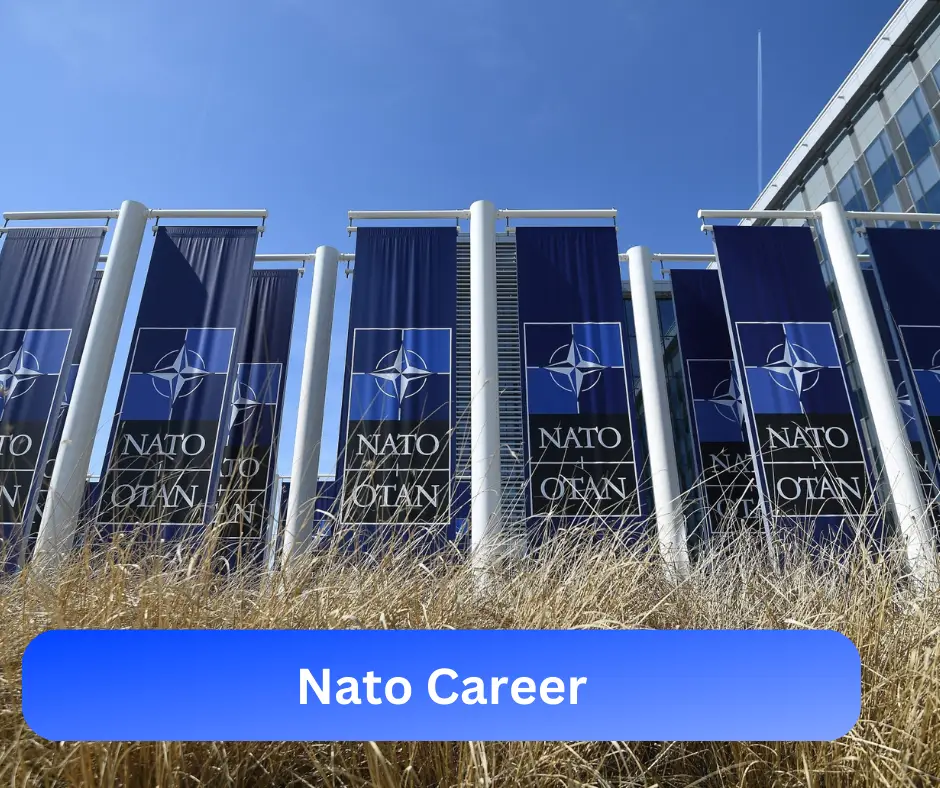 Nato Career 2024 Submit @www.nato.int Career Portal