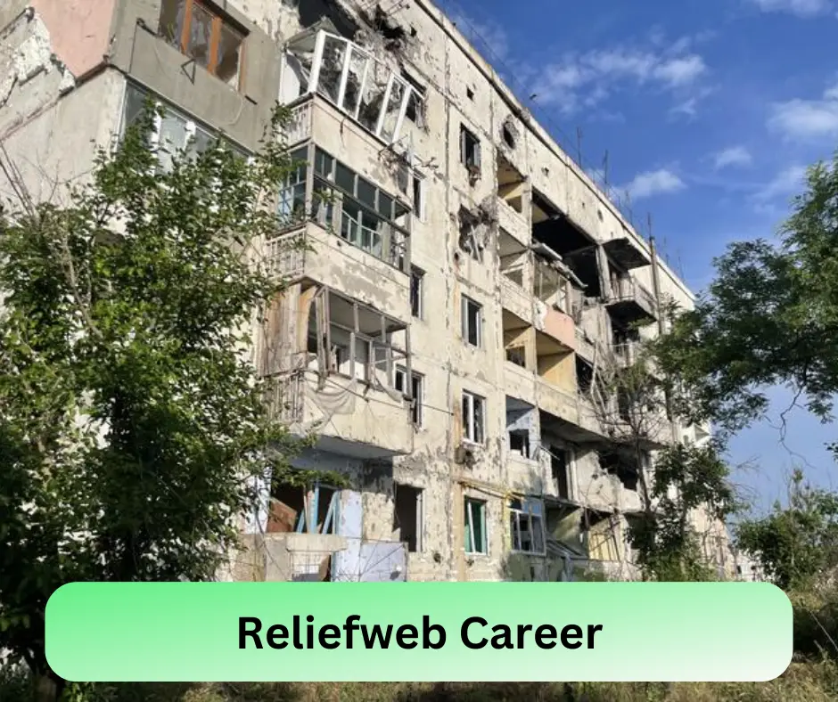 Reliefweb Career 2024 Submit @reliefweb.int Career Portal