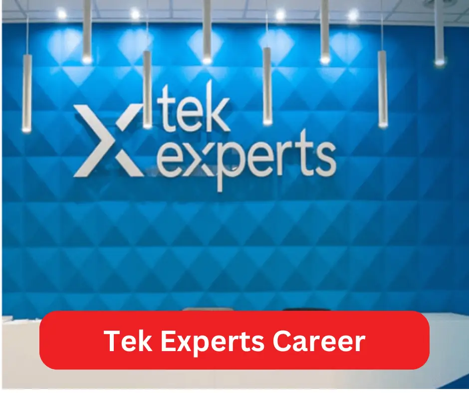 Tek Experts Career