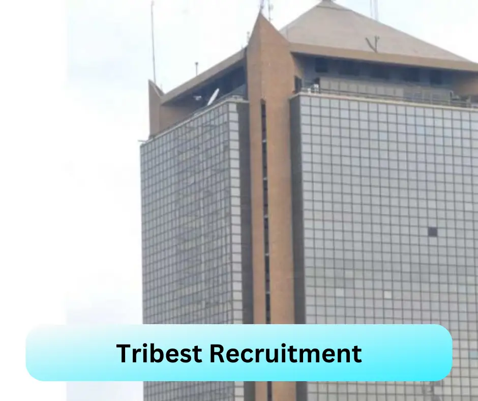Tribest Recruitment Submit @tribestsupport.com Career Portal
