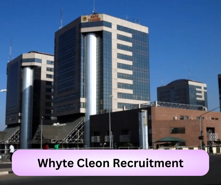 Whyte Cleon Recruitment Submit @whytecleon.com Career Portal