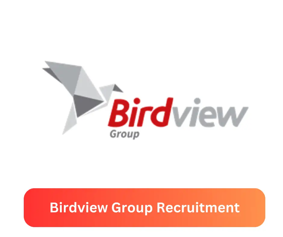 Birdview Group Recruitment 2024 Submit @www.birdviewgroup.com Career Portal